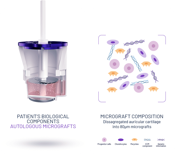 Mytocel cartridge cutaway beside a diagram of the micrograft composition
